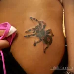 Фото тату паук для девушки 25.07.2021 №007 - spider tattoo for girls - tatufoto.com