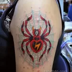Фото тату паук для девушки 25.07.2021 №012 - spider tattoo for girls - tatufoto.com