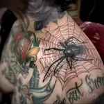 Фото тату паук и паутина 25.07.2021 №011 - spider web tattoo - tatufoto.com