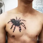 Фото тату паук на груди 25.07.2021 №003 - spider tattoo on chest - tatufoto.com