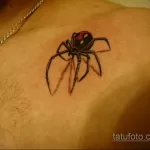 Фото тату паук на груди 25.07.2021 №005 - spider tattoo on chest - tatufoto.com
