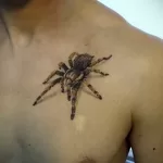 Фото тату паук на груди 25.07.2021 №026 - spider tattoo on chest - tatufoto.com
