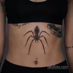Фото тату паук на животе 25.07.2021 №002 - spider tattoo on belly - tatufoto.com