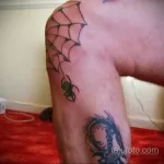 Фото тату паук на колене 25.07.2021 №005 - spider tattoo on knee - tatufoto.com