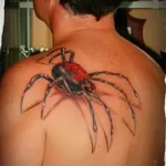 Фото тату паук на плече 25.07.2021 №001 - spider tattoo on shoulder - tatufoto.com