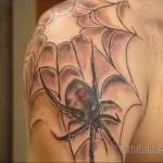 Фото тату паук на плече 25.07.2021 №004 - spider tattoo on shoulder - tatufoto.com