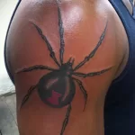 Фото тату паук на плече 25.07.2021 №010 - spider tattoo on shoulder - tatufoto.com