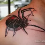 Фото тату паук на плече 25.07.2021 №012 - spider tattoo on shoulder - tatufoto.com