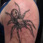 Фото тату паук на плече 25.07.2021 №019 - spider tattoo on shoulder - tatufoto.com