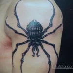 Фото тату паук на плече 25.07.2021 №020 - spider tattoo on shoulder - tatufoto.com