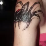 Фото тату паук на плече 25.07.2021 №023 - spider tattoo on shoulder - tatufoto.com