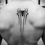 Фото тату паук на спине 25.07.2021 №003 - spider tattoo on back - tatufoto.com