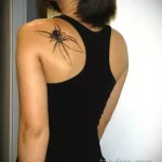 Фото тату паук на спине 25.07.2021 №004 - spider tattoo on back - tatufoto.com