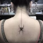 Фото тату паук на спине 25.07.2021 №005 - spider tattoo on back - tatufoto.com