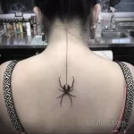 Фото тату паук на спине 25.07.2021 №007 - spider tattoo on back - tatufoto.com