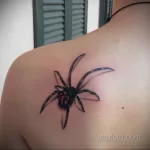Фото тату паук на спине 25.07.2021 №011 - spider tattoo on back - tatufoto.com