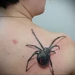 Фото тату паук на спине 25.07.2021 №012 - spider tattoo on back - tatufoto.com