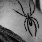 Фото тату паук на спине 25.07.2021 №014 - spider tattoo on back - tatufoto.com