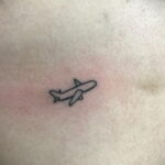 Фото тату самолет 06.07.2021 №189 - airplane tattoo - tatufoto.com