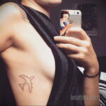 Фото тату самолет 06.07.2021 №277 - airplane tattoo - tatufoto.com