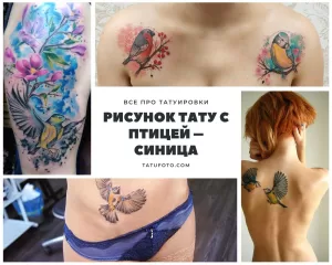 Коллаж из нескольких фотографий татуировок с изображением синиц, выполненных в различных стилях и на разных частях тела.