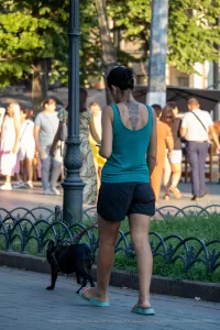 Фото тату: Детализированная татуировка лисы в стиле геометрии на спине девушки. Идеи для тату, эскиз татуировки, мастер тату.