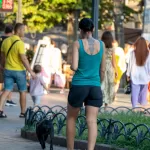 Фото тату: Детализированная татуировка лисы в стиле геометрии на спине девушки. Идеи для тату, эскиз татуировки, мастер тату.
