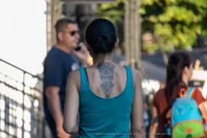 Фото тату: Детализированная татуировка лисы в стиле геометрии на спине девушки. Идеи для тату, эскиз татуировки, мастер тату.