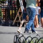 Тату мотоцикл и надписи внизу ноги парня - Уличная тату (street tattoo) № 14–210821 1