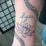 Фото рисунка тату с лотосом 07.08.2021 №002 - lotus tattoo - tatufoto.com