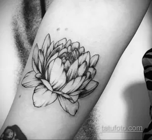 Фото тату: реалистичный рисунок цветка лотоса, выполненный в технике blackwork на предплечье, с детальной проработкой лепестков и листьев.