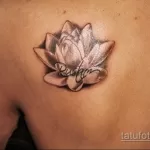 Фото тату лотос на спине 07.08.2021 №023 - lotus tattoo on back - tatufoto.com