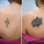 Фото тату лотос на спине 07.08.2021 №051 - lotus tattoo on back - tatufoto.com