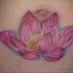 Фото тату лотоса на животе 07.08.2021 №021 - lotus tattoo on stomach - tatufoto.com