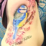 Фото тату с птицей синица 13,08,2021 - №0028 - Tit tattoo - tatufoto.com