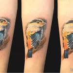 Фото тату с птицей синица 13,08,2021 - №0052 - Tit tattoo - tatufoto.com