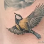 Фото тату с птицей синица 13,08,2021 - №0091 - Tit tattoo - tatufoto.com