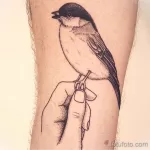 Фото тату с птицей синица 13,08,2021 - №0187 - Tit tattoo - tatufoto.com