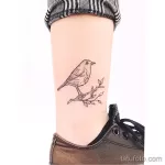 Фото тату с птицей синица 13,08,2021 - №0222 - Tit tattoo - tatufoto.com