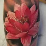 Фото тату цветок лотоса 07.08.2021 №001 - lotus flower tattoo - tatufoto.com