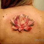 Фото тату цветок лотоса 07.08.2021 №024 - lotus flower tattoo - tatufoto.com
