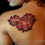 Фото тату цветок лотоса 07.08.2021 №025 - lotus flower tattoo - tatufoto.com