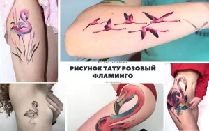 Фото коллажа с различными эскизами татуировок розового фламинго в разных стилях и размерах. Идеи для тату.
