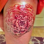 Фото пример рисунка тату цветок пион 16,10,2021 - №0798 - peony tattoo - tatufoto.com