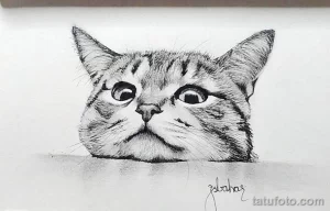 Фото тату: реалистичный рисунок кота, выполненный в технике графики. Кот смотрит вверх с любопытством, его мордочка детально проработана.