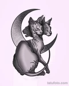 Эскиз для татуировки с кошкой 14,11,2021 - №0234 - sketch of cat tattoo - tatufoto.com