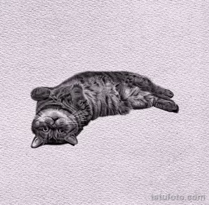 Эскиз для татуировки с кошкой 14,11,2021 - №0246 - sketch of cat tattoo - tatufoto.com