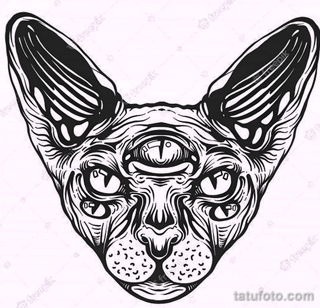 Эскиз для татуировки с кошкой 14,11,2021 - №0258 - sketch of cat tattoo - tatufoto.com