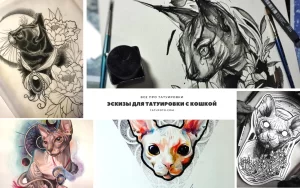 Коллаж из различных эскизов татуировок с кошками. Изображены как реалистичные, так и стилизованные рисунки кошек в разных позах и стилях.