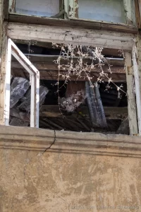 Фото заброшенного окна с паутиной и сухими растениями. Атмосферный снимок, напоминающий эскиз татуировки.